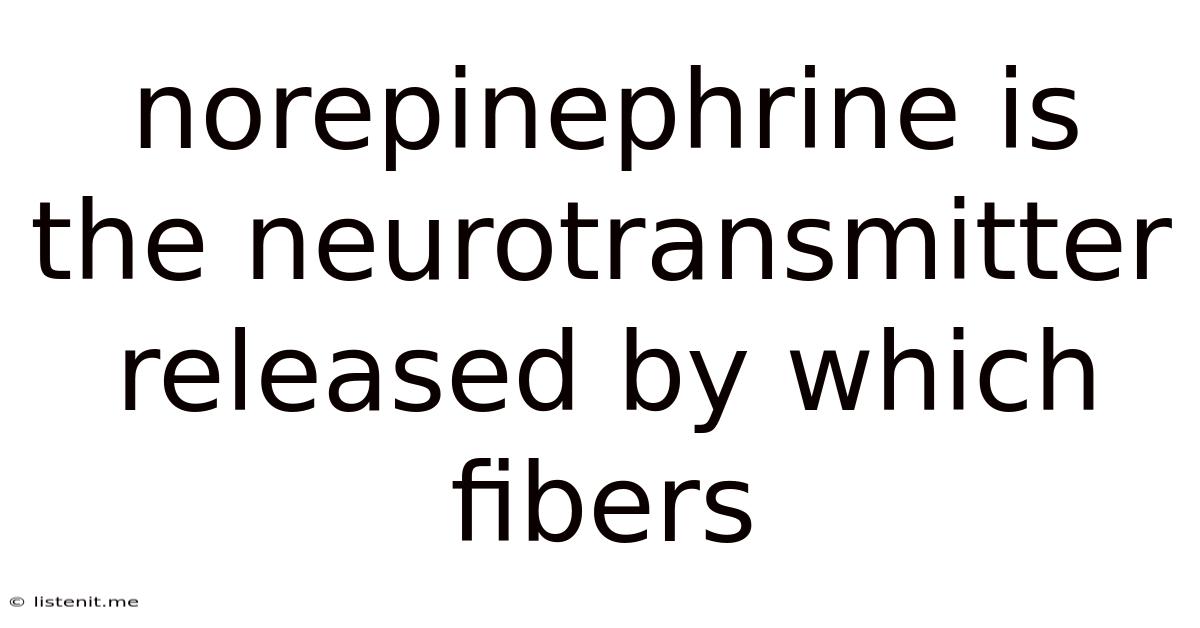 Norepinephrine Is The Neurotransmitter Released By Which Fibers