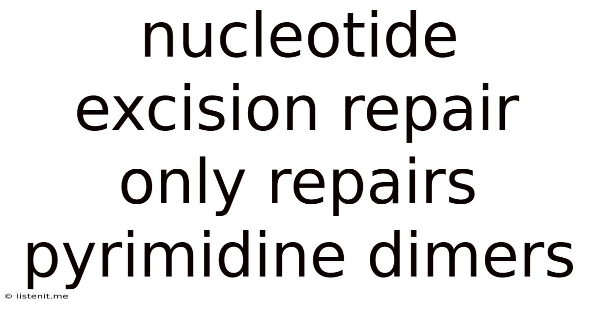 Nucleotide Excision Repair Only Repairs Pyrimidine Dimers