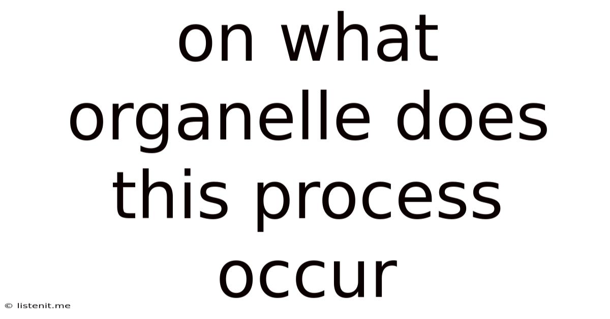 On What Organelle Does This Process Occur