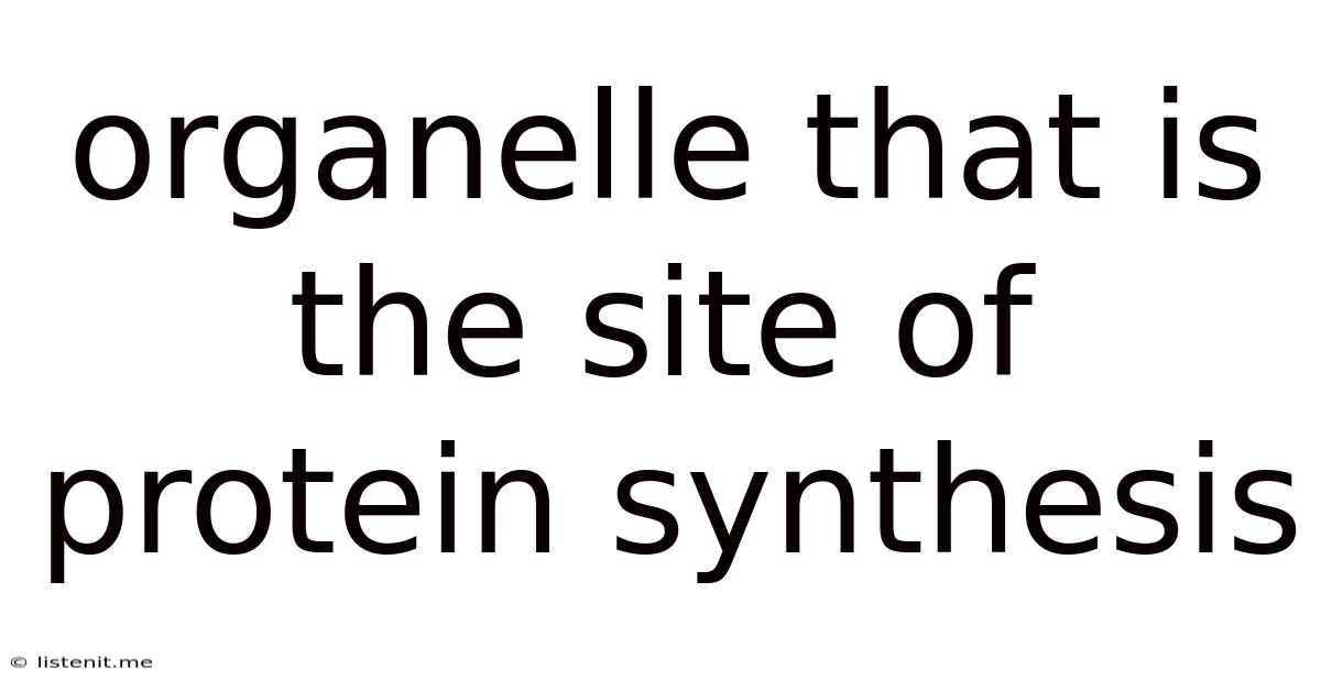 Organelle That Is The Site Of Protein Synthesis