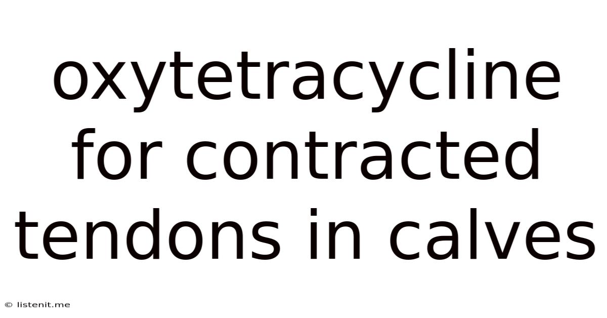 Oxytetracycline For Contracted Tendons In Calves
