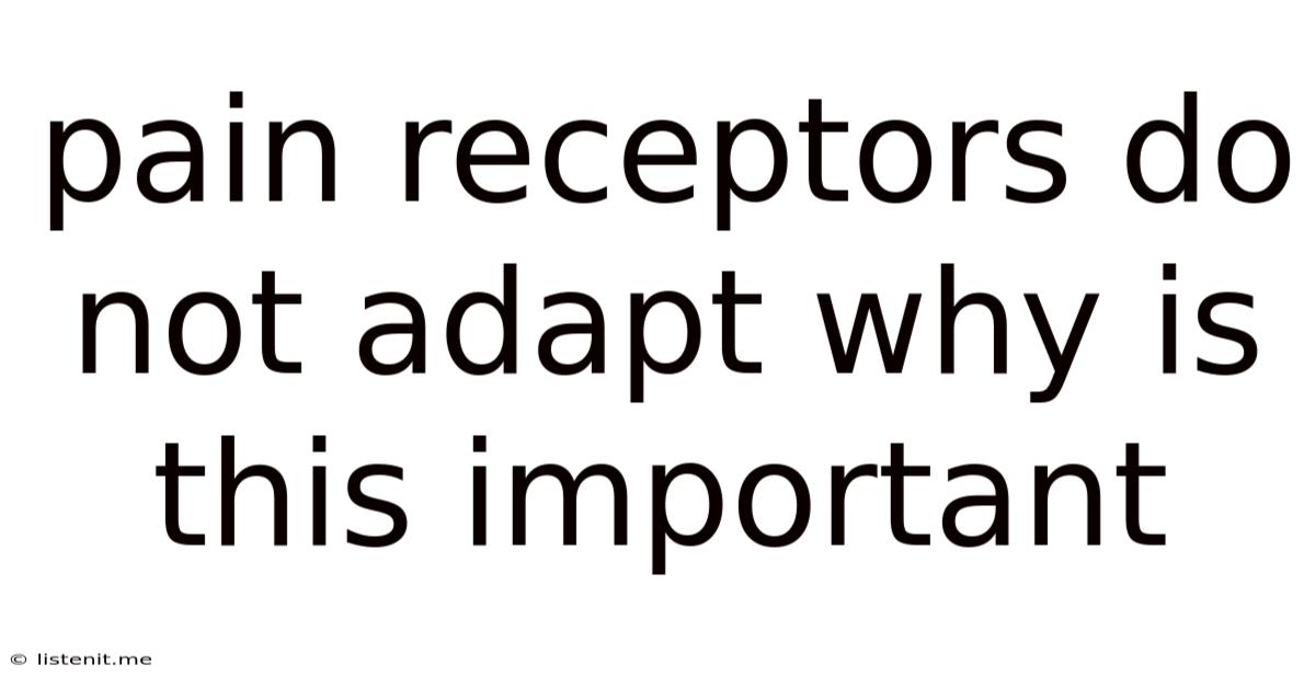 Pain Receptors Do Not Adapt Why Is This Important