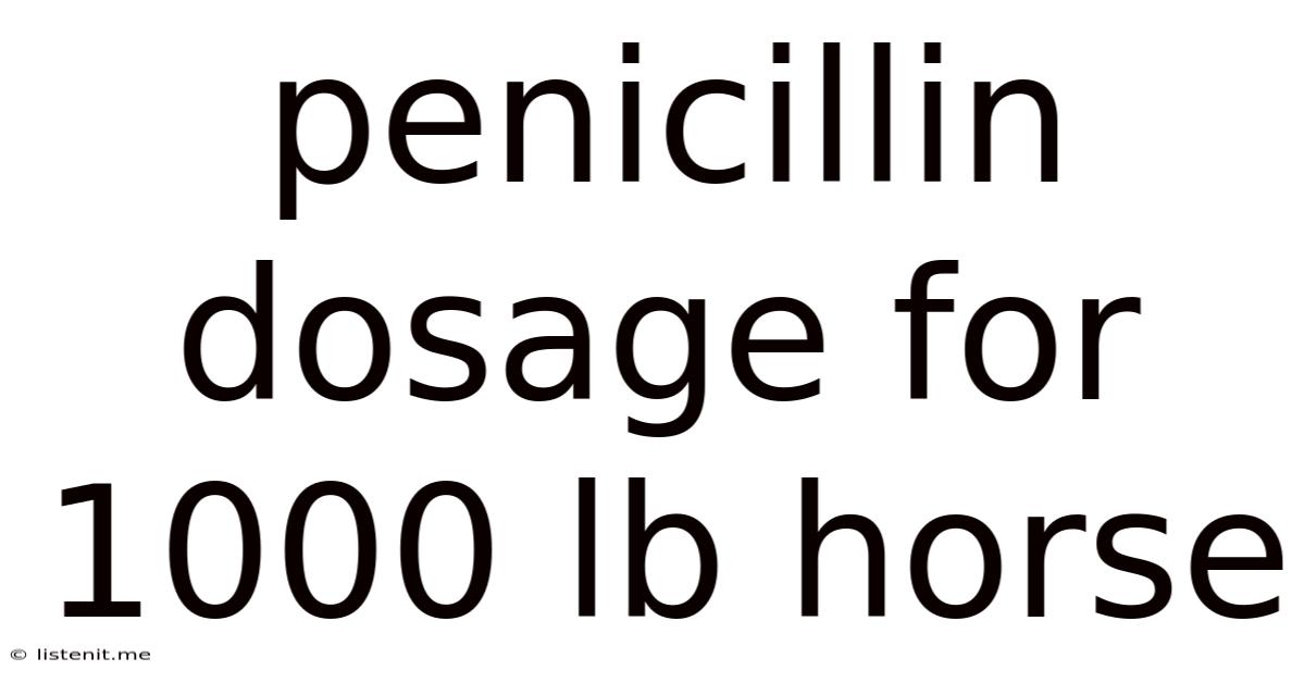 Penicillin Dosage For 1000 Lb Horse