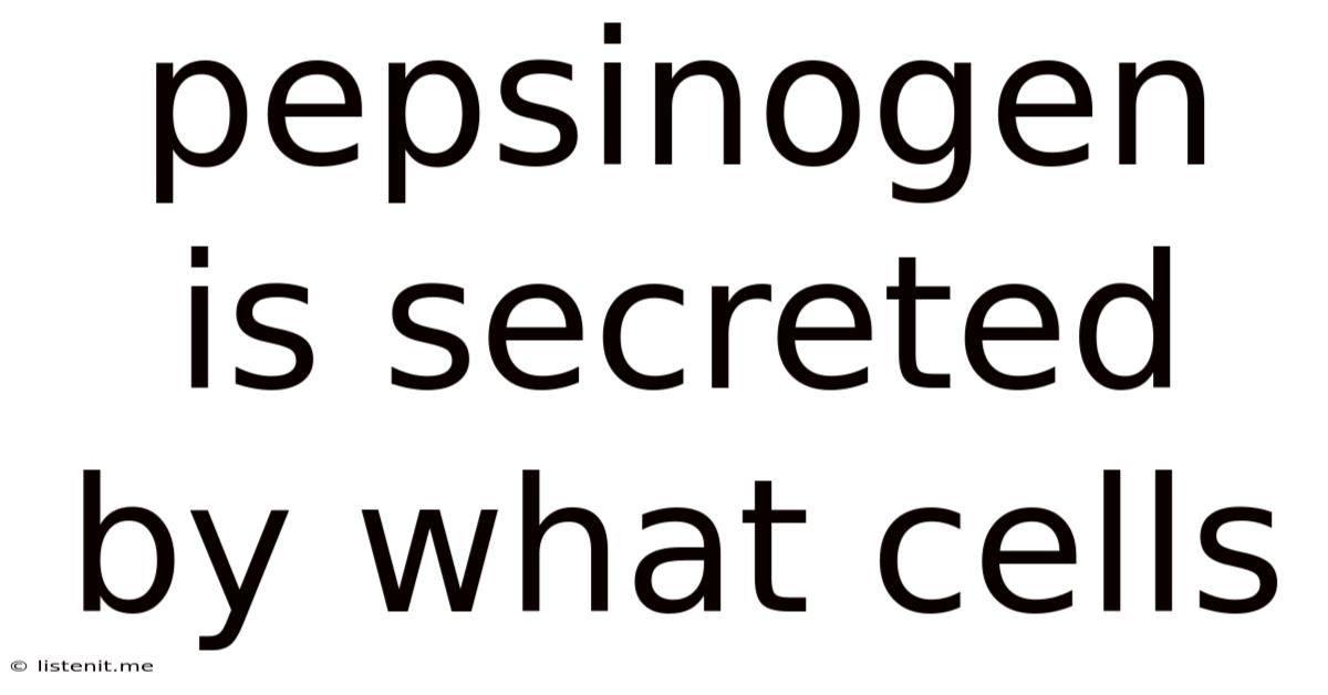 Pepsinogen Is Secreted By What Cells