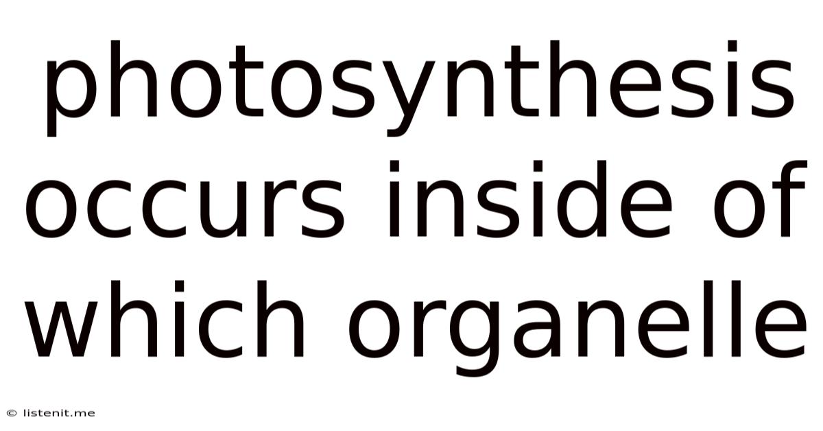Photosynthesis Occurs Inside Of Which Organelle