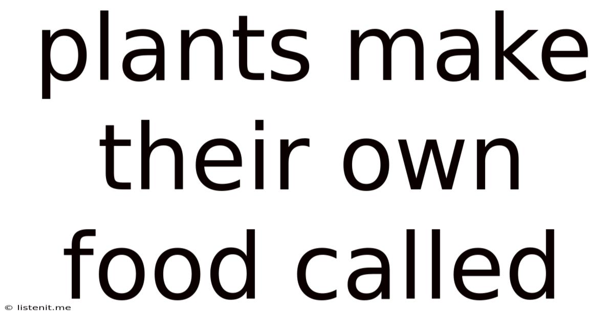 Plants Make Their Own Food Called