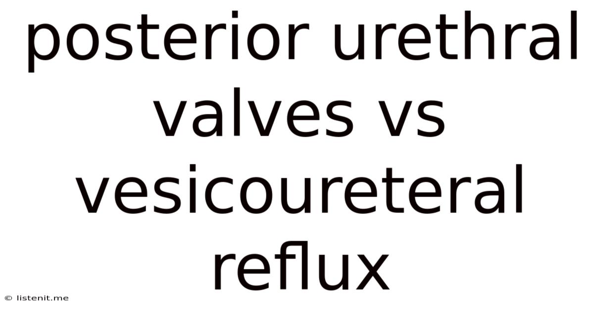 Posterior Urethral Valves Vs Vesicoureteral Reflux