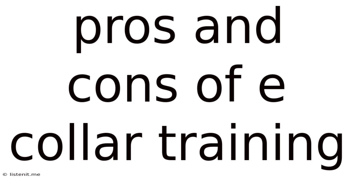 Pros And Cons Of E Collar Training