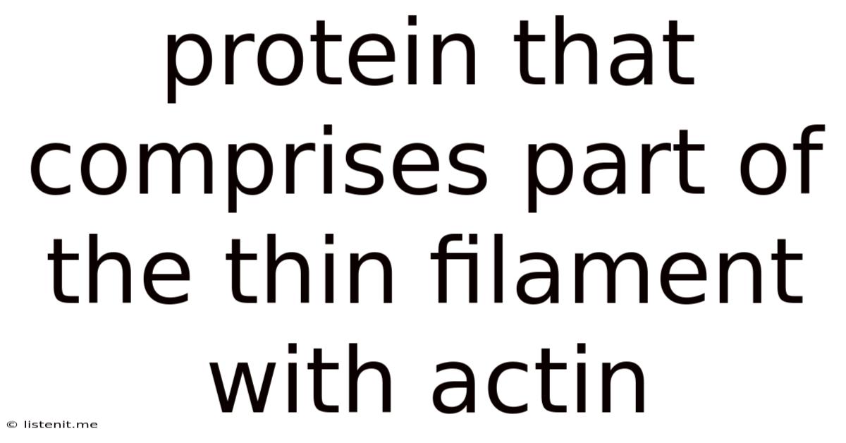 Protein That Comprises Part Of The Thin Filament With Actin