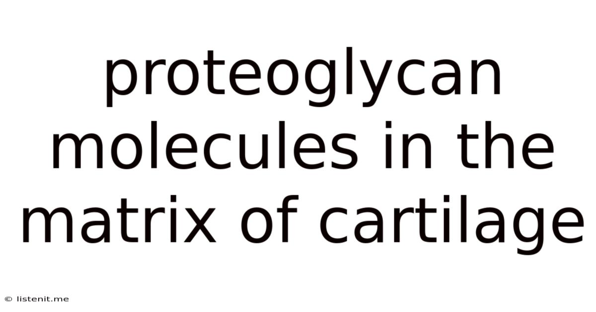 Proteoglycan Molecules In The Matrix Of Cartilage