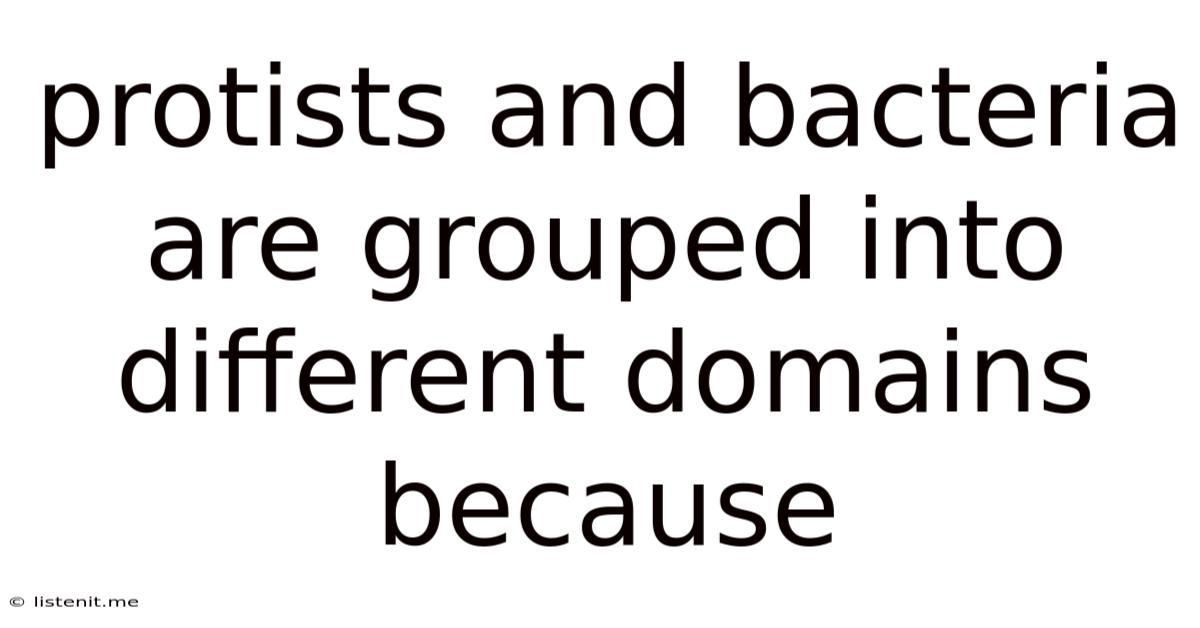 Protists And Bacteria Are Grouped Into Different Domains Because