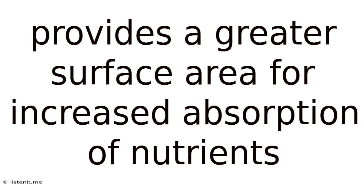Provides A Greater Surface Area For Increased Absorption Of Nutrients