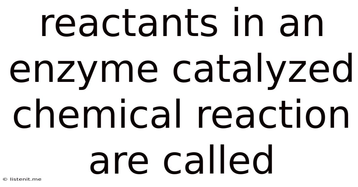 Reactants In An Enzyme Catalyzed Chemical Reaction Are Called