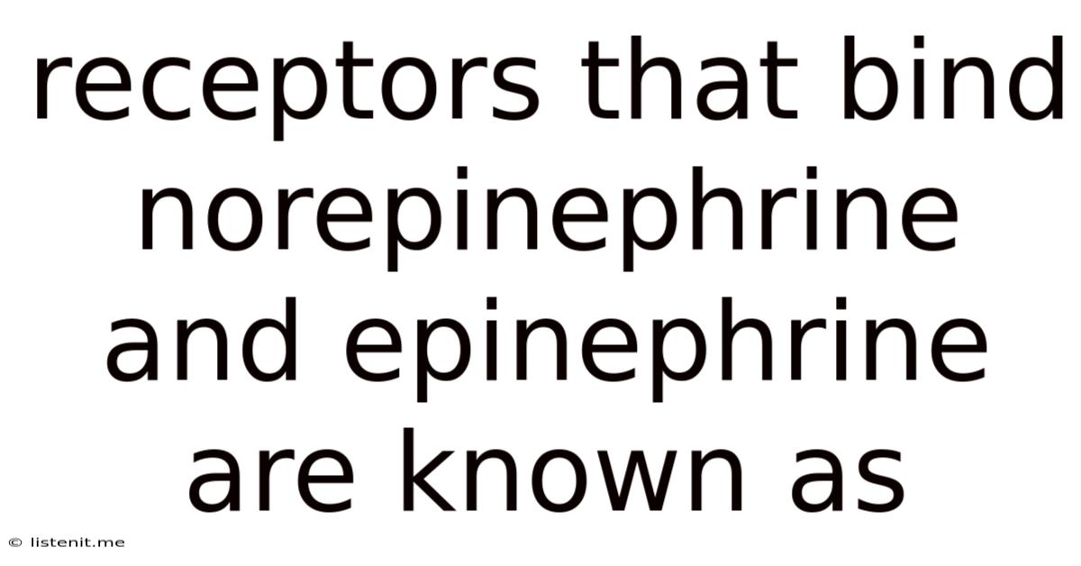 Receptors That Bind Norepinephrine And Epinephrine Are Known As