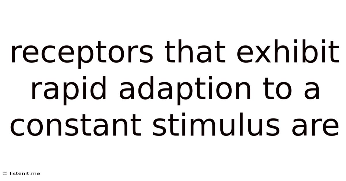 Receptors That Exhibit Rapid Adaption To A Constant Stimulus Are