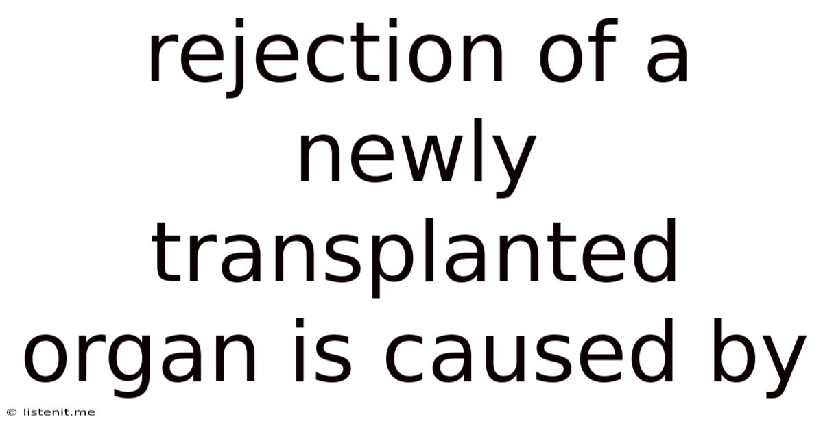 Rejection Of A Newly Transplanted Organ Is Caused By