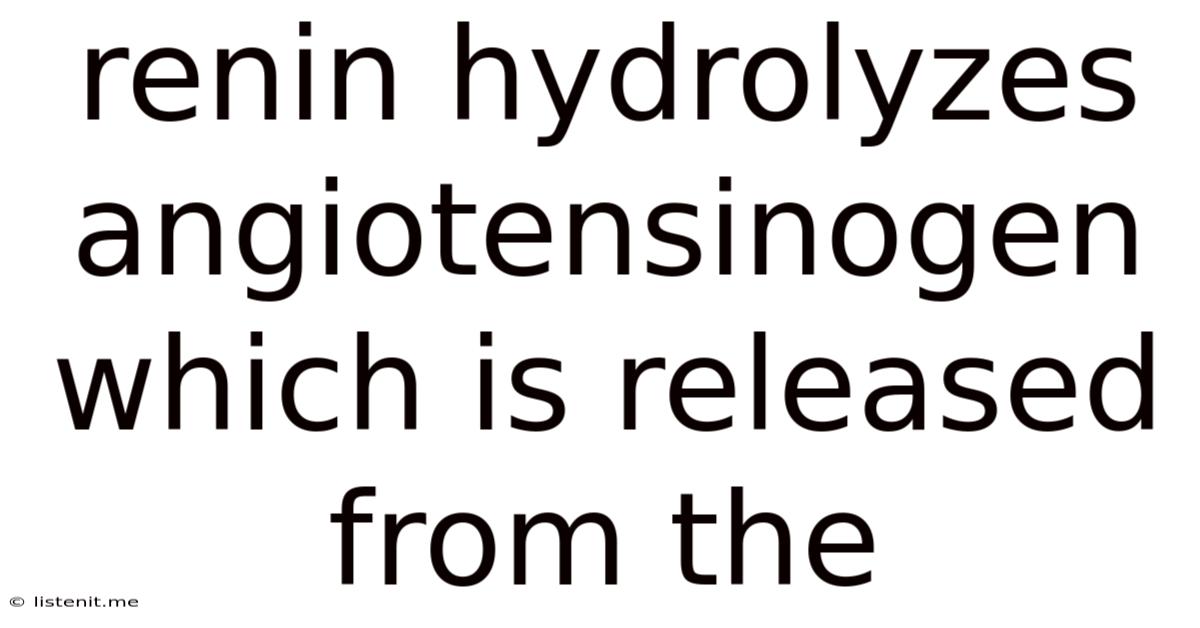 Renin Hydrolyzes Angiotensinogen Which Is Released From The