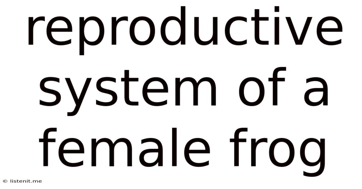 Reproductive System Of A Female Frog