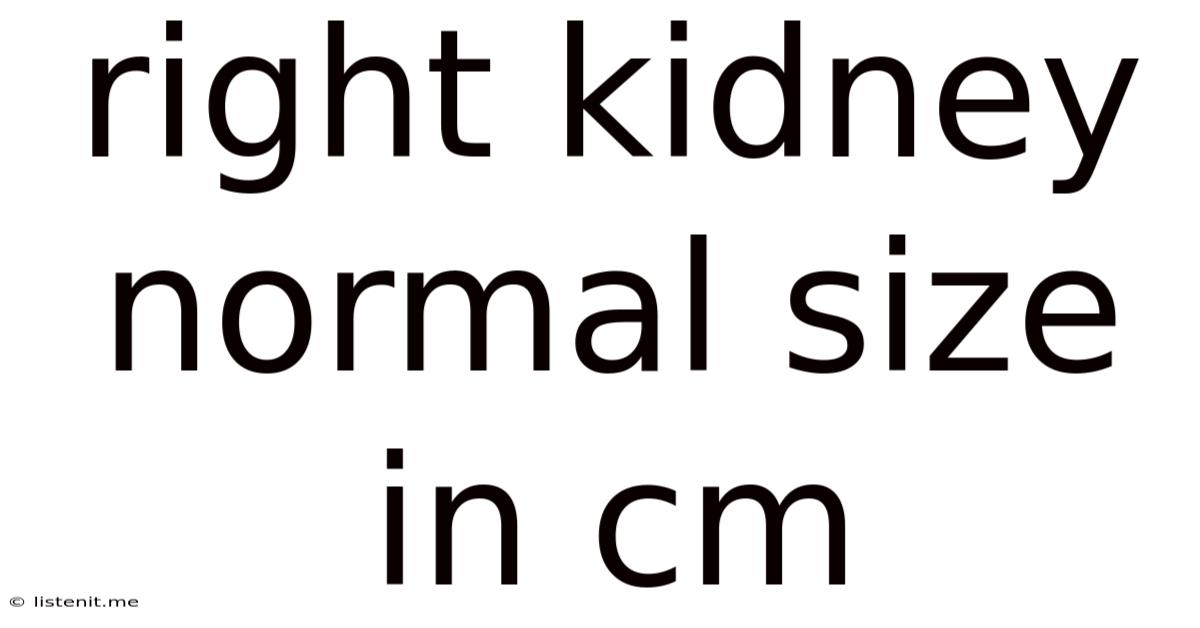 Right Kidney Normal Size In Cm