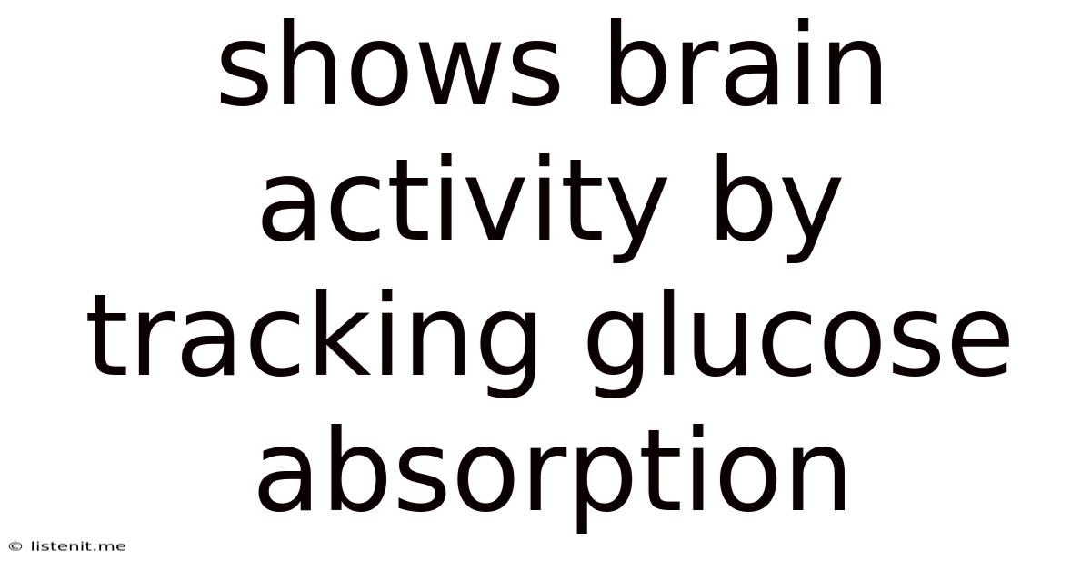Shows Brain Activity By Tracking Glucose Absorption