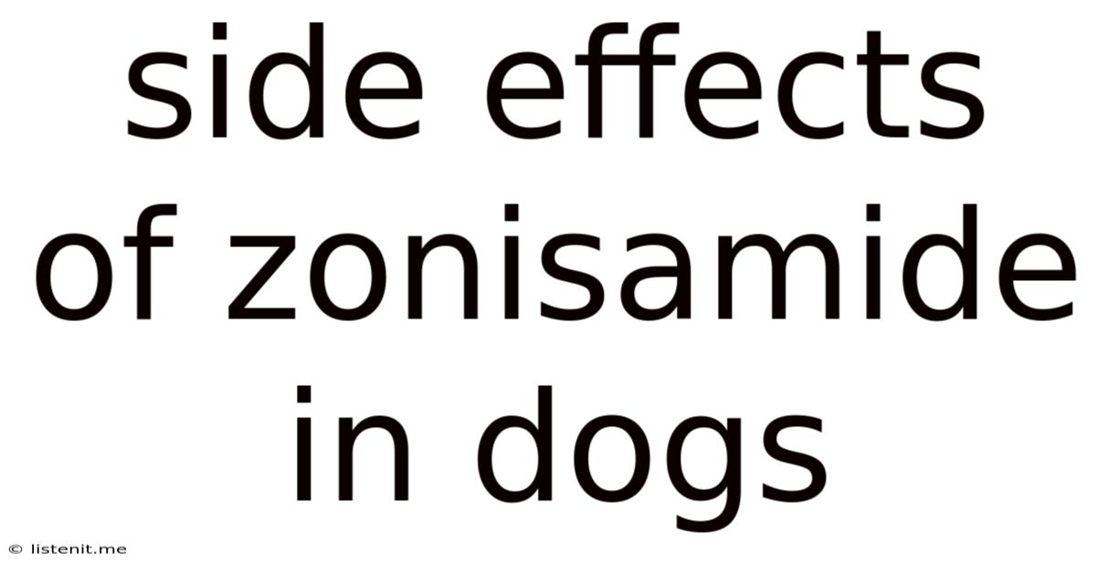 Side Effects Of Zonisamide In Dogs