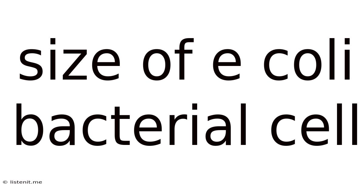 Size Of E Coli Bacterial Cell