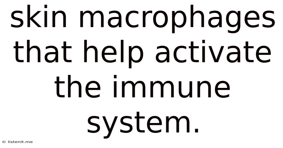 Skin Macrophages That Help Activate The Immune System.