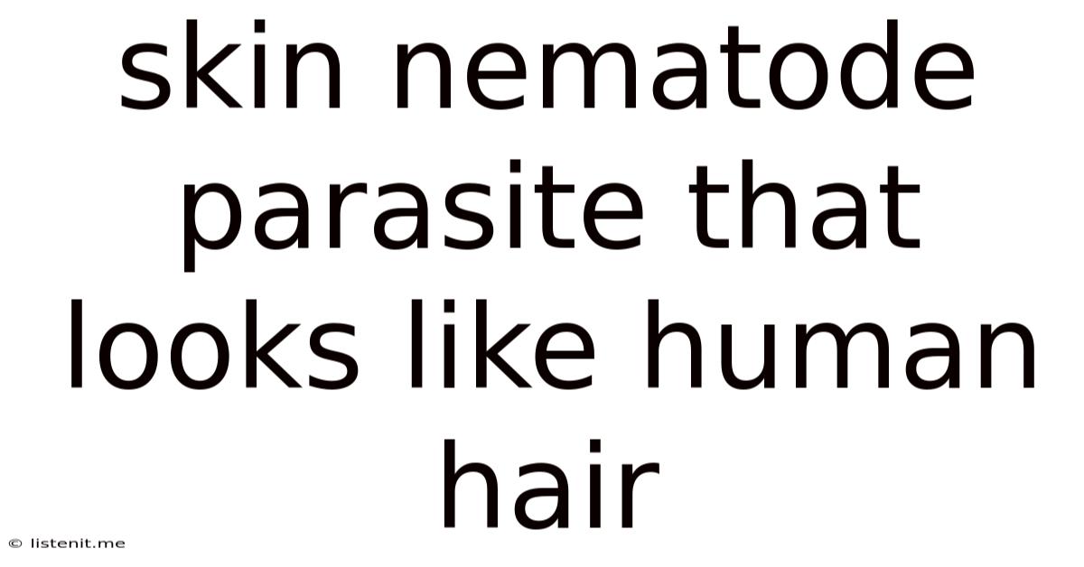 Skin Nematode Parasite That Looks Like Human Hair