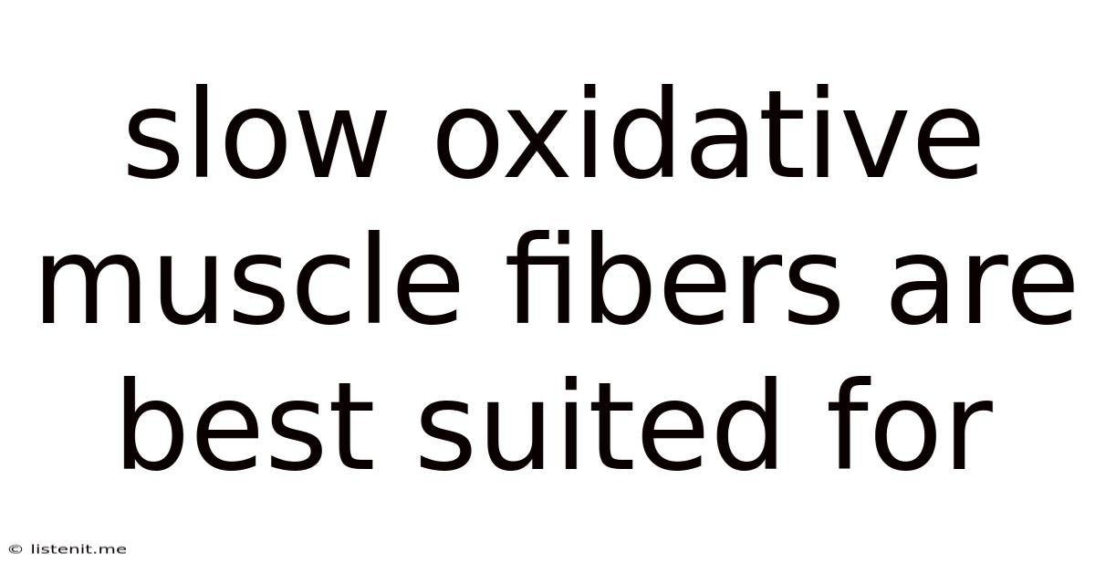 Slow Oxidative Muscle Fibers Are Best Suited For
