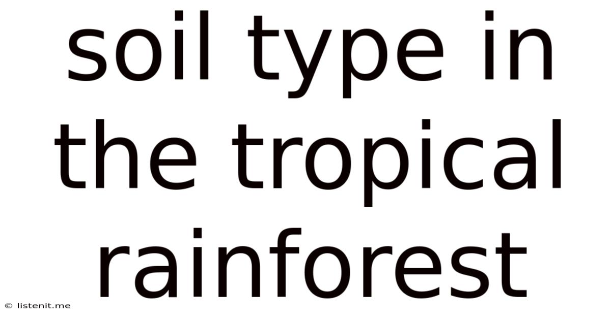 Soil Type In The Tropical Rainforest