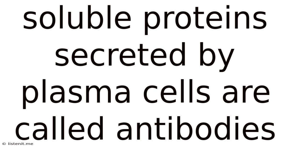 Soluble Proteins Secreted By Plasma Cells Are Called Antibodies