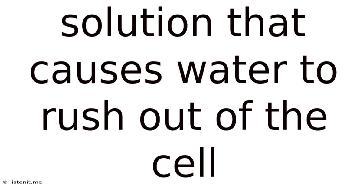 Solution That Causes Water To Rush Out Of The Cell