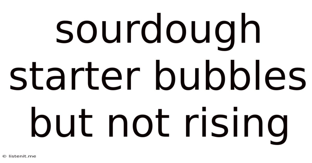 Sourdough Starter Bubbles But Not Rising