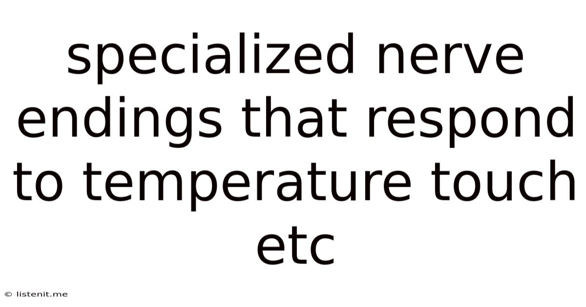 Specialized Nerve Endings That Respond To Temperature Touch Etc