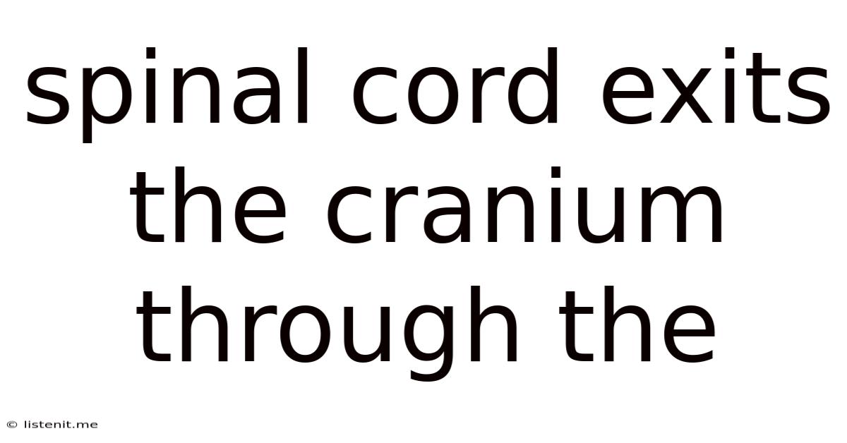 Spinal Cord Exits The Cranium Through The