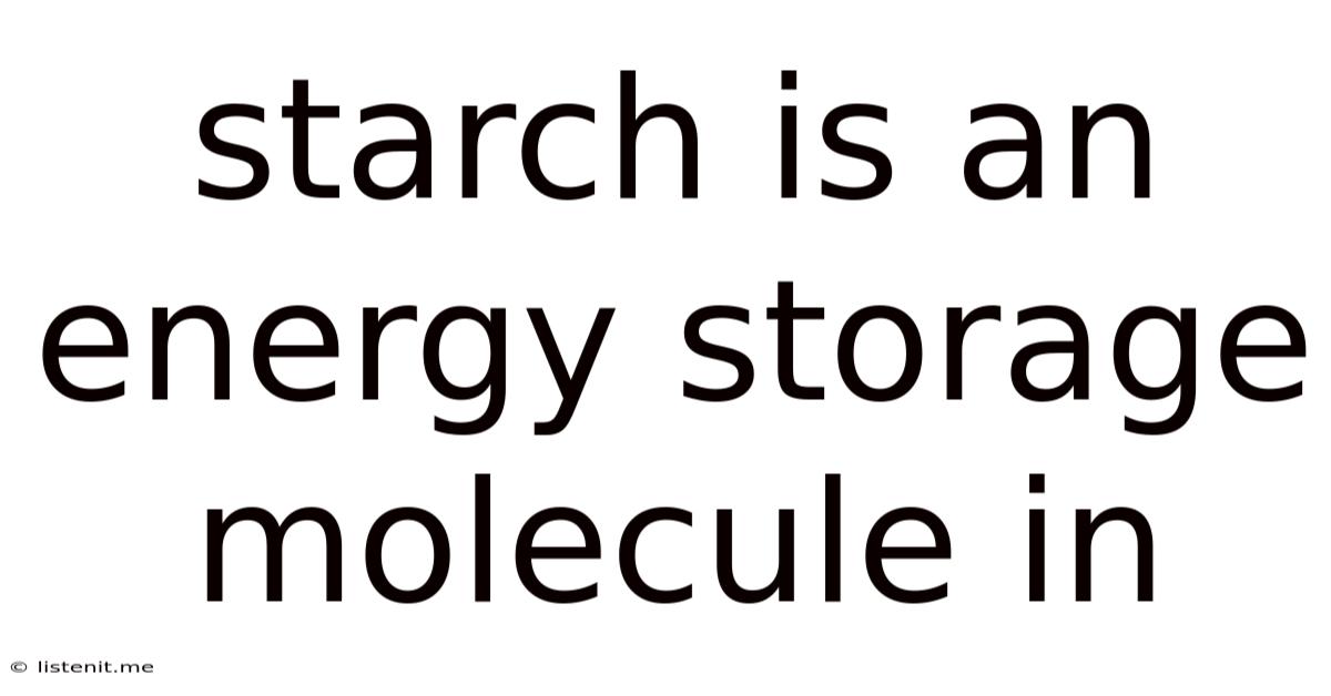 Starch Is An Energy Storage Molecule In