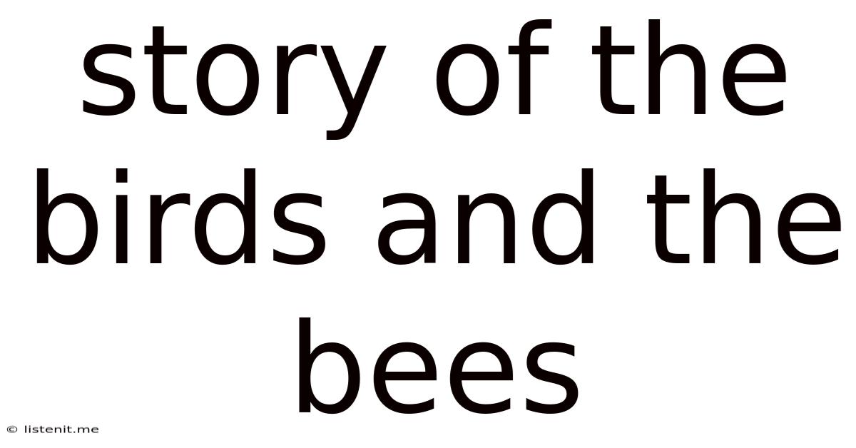Story Of The Birds And The Bees