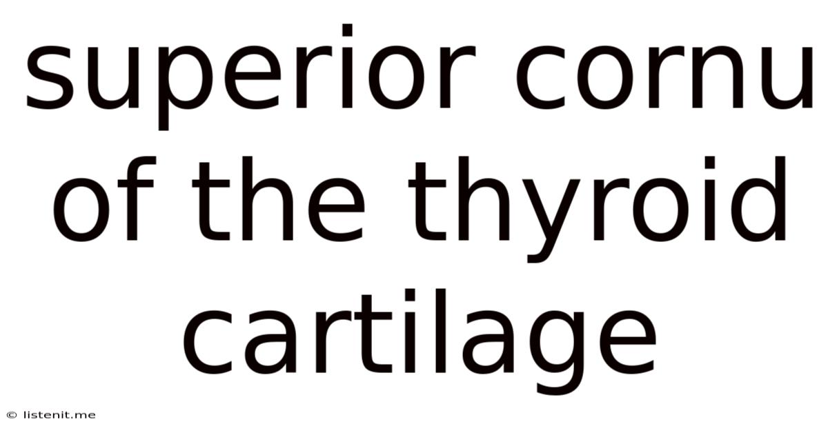 Superior Cornu Of The Thyroid Cartilage