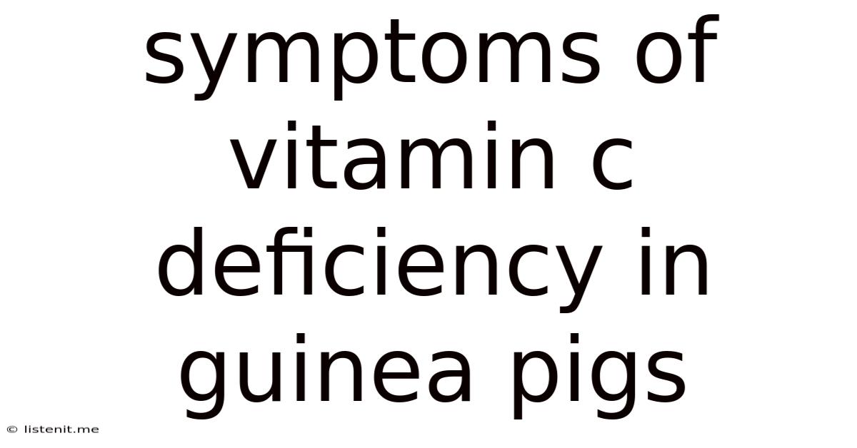 Symptoms Of Vitamin C Deficiency In Guinea Pigs