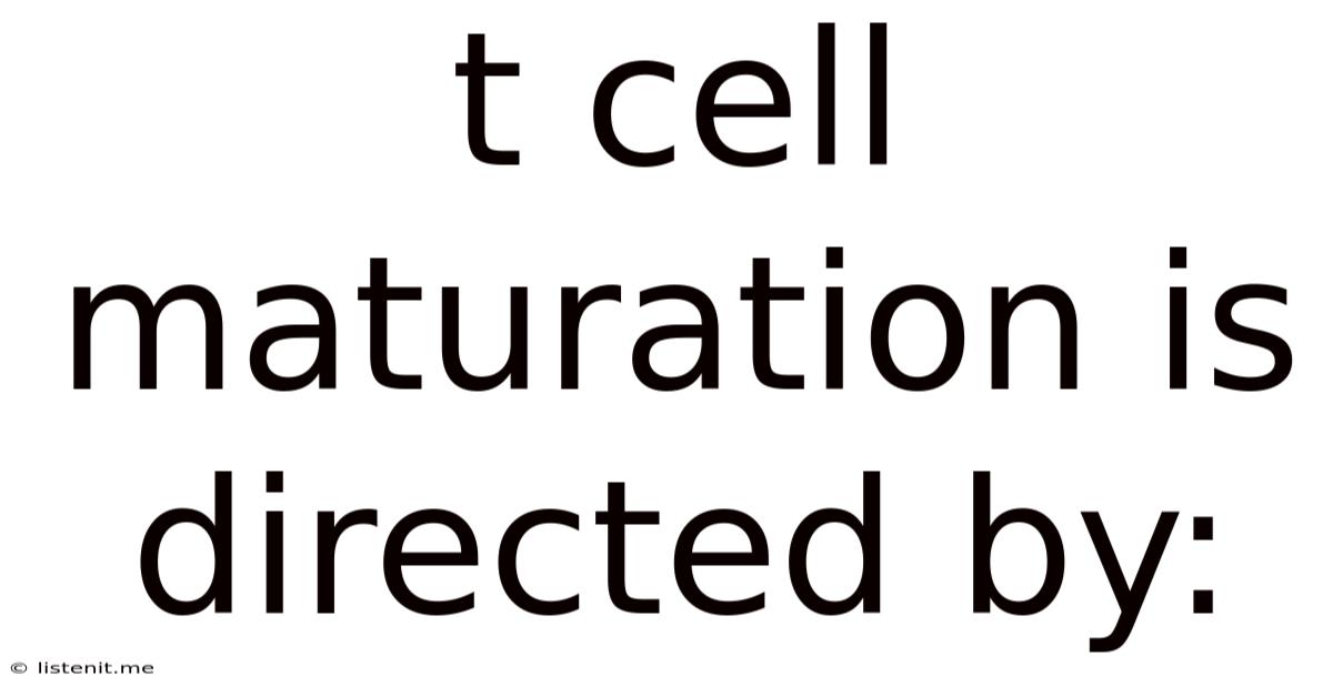 T Cell Maturation Is Directed By: