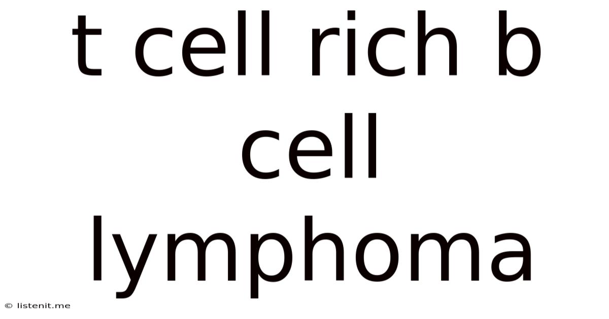 T Cell Rich B Cell Lymphoma