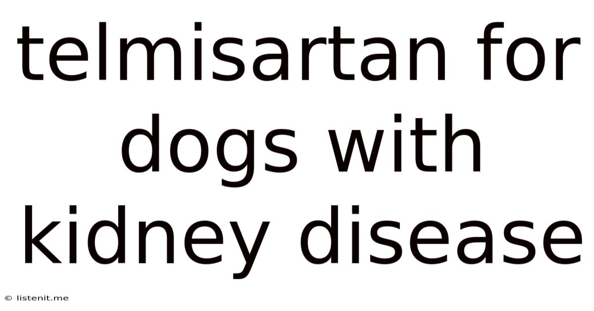 Telmisartan For Dogs With Kidney Disease
