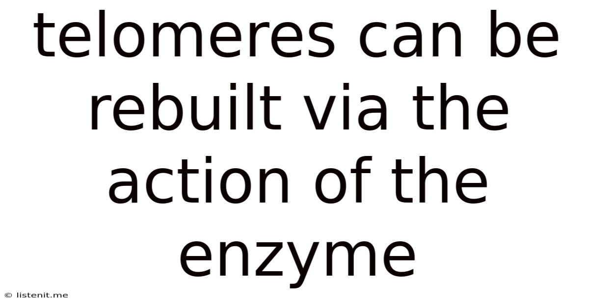 Telomeres Can Be Rebuilt Via The Action Of The Enzyme