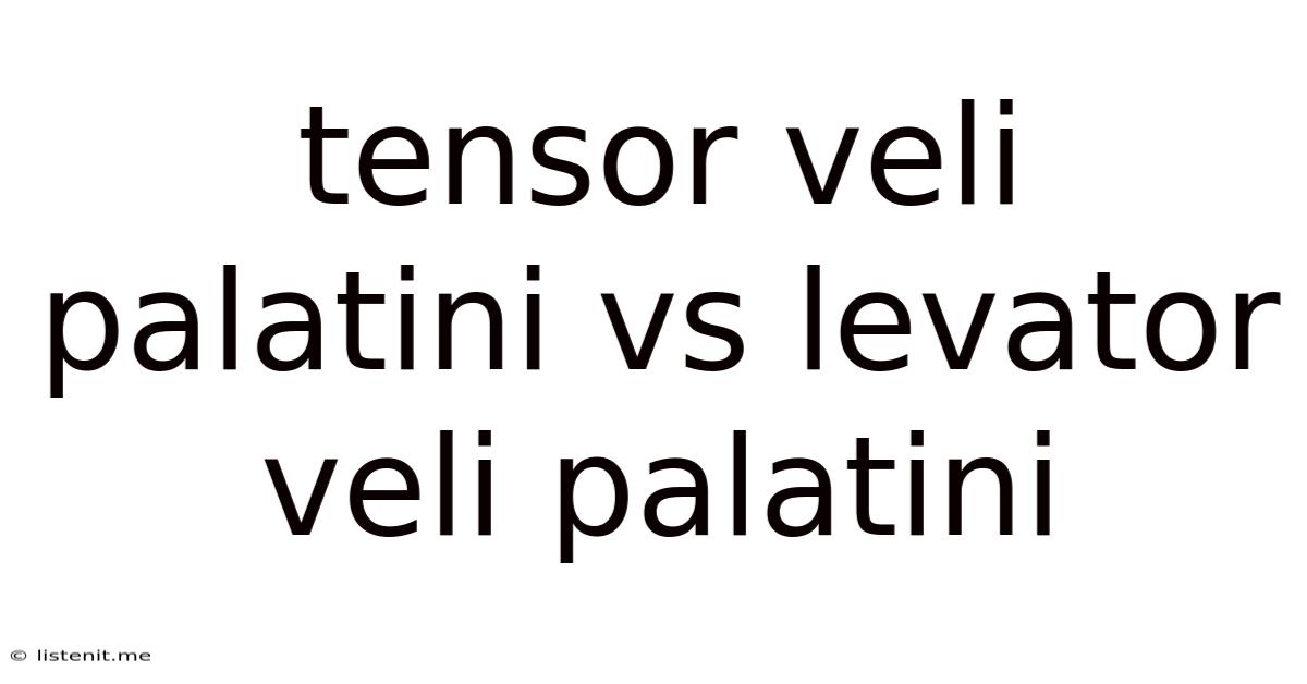 Tensor Veli Palatini Vs Levator Veli Palatini