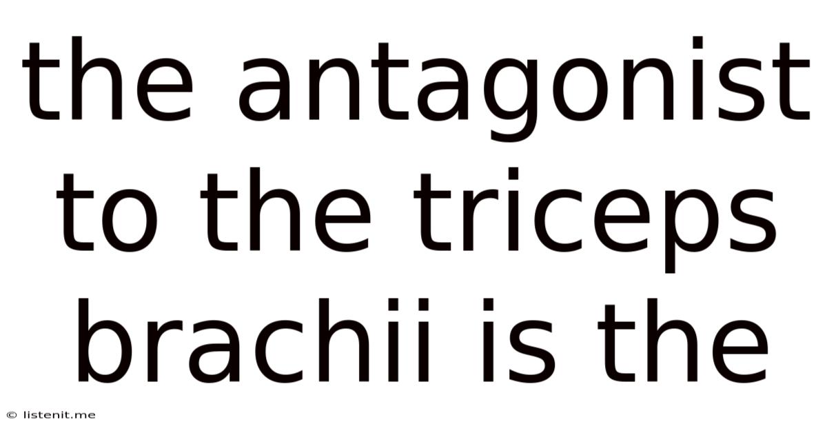 The Antagonist To The Triceps Brachii Is The