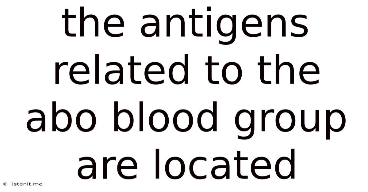 The Antigens Related To The Abo Blood Group Are Located
