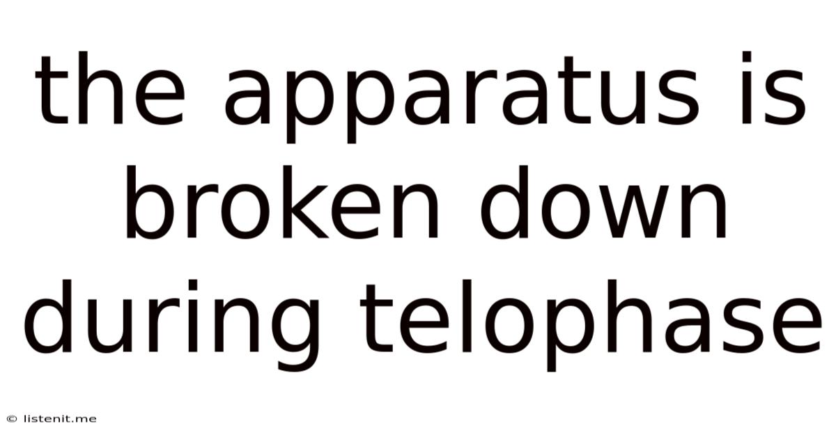 The Apparatus Is Broken Down During Telophase