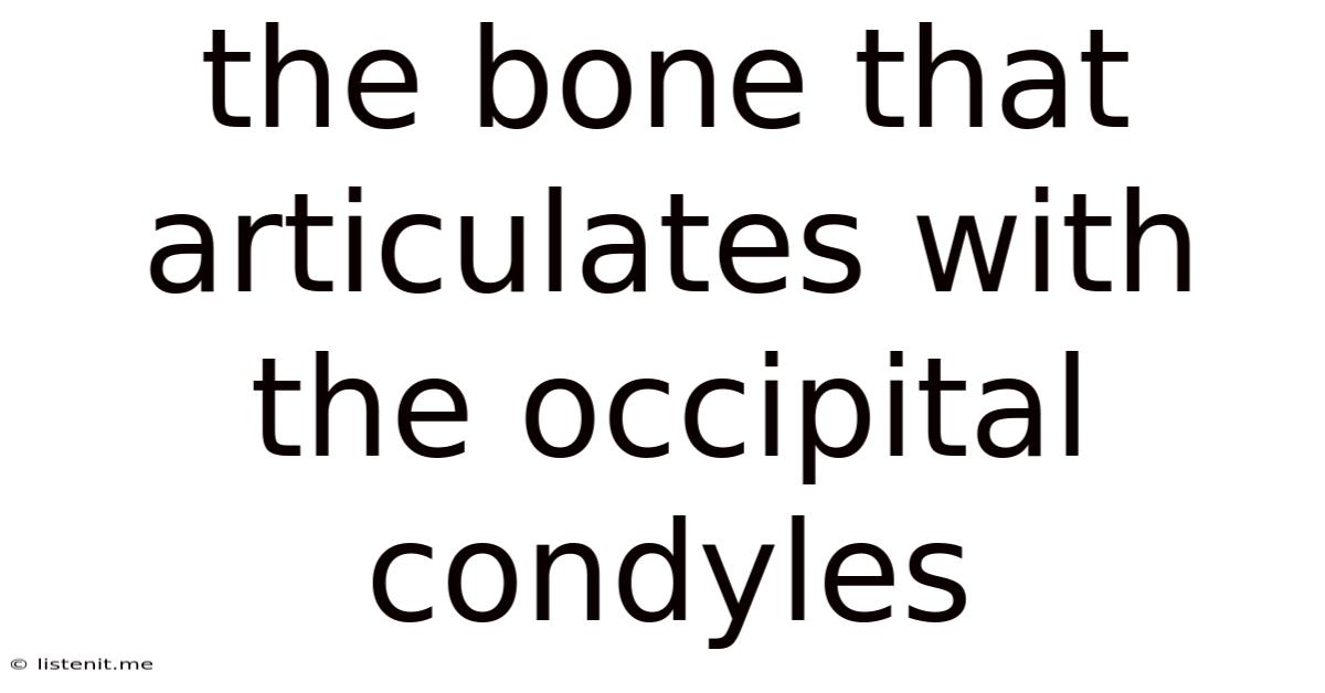 The Bone That Articulates With The Occipital Condyles