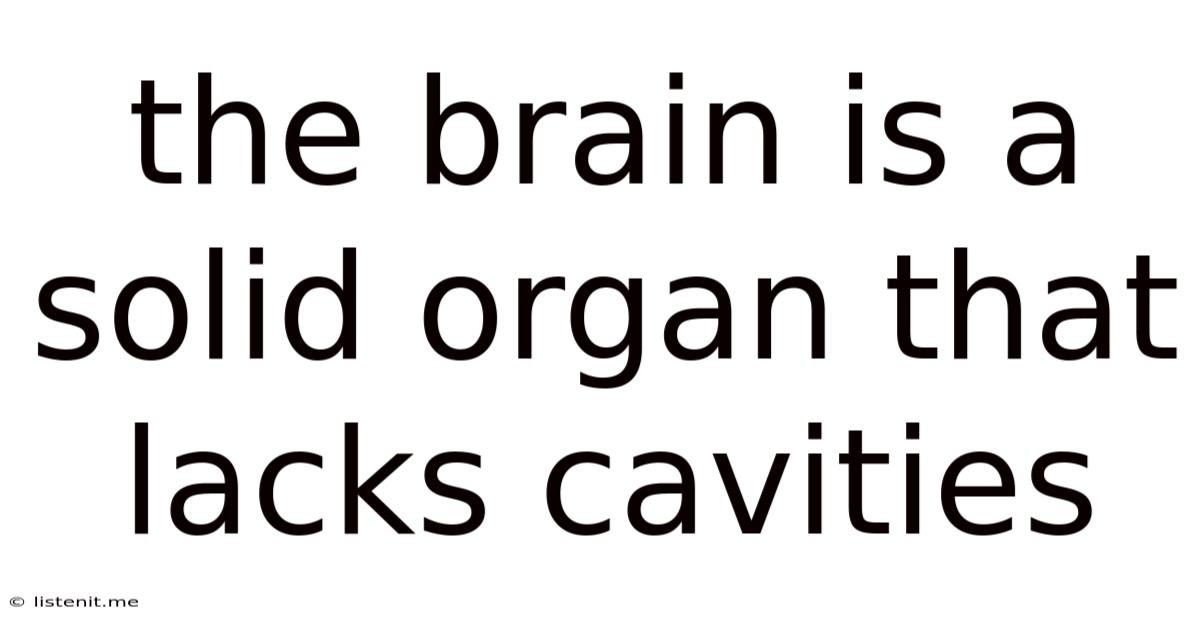 The Brain Is A Solid Organ That Lacks Cavities