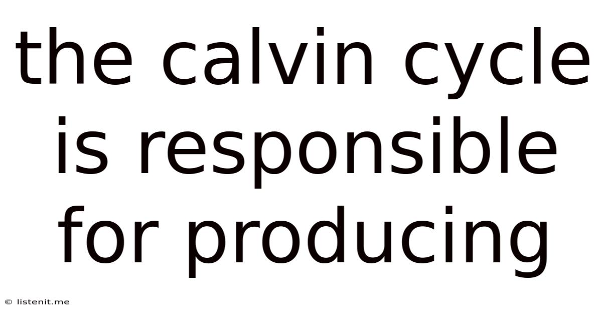 The Calvin Cycle Is Responsible For Producing